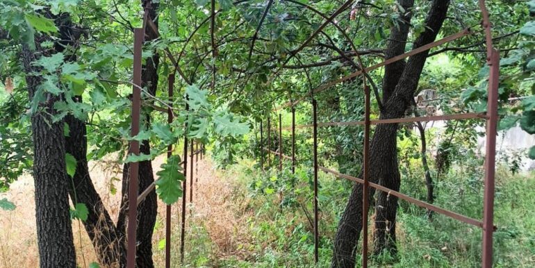 20251031153337-997541-14