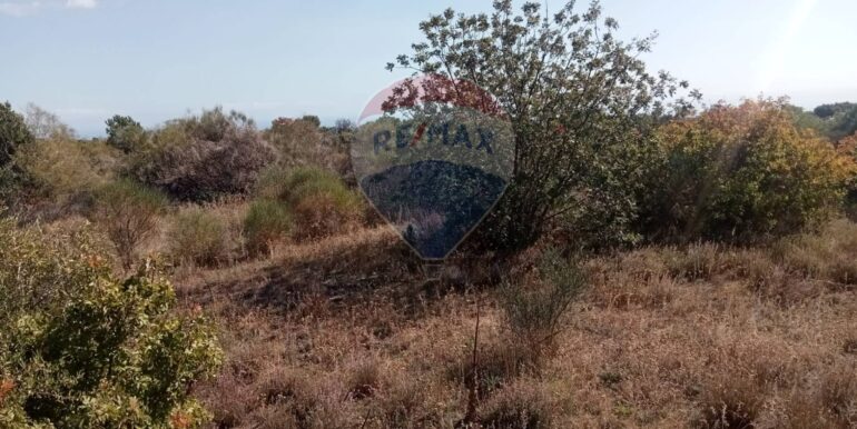 20251103121012-997228-1