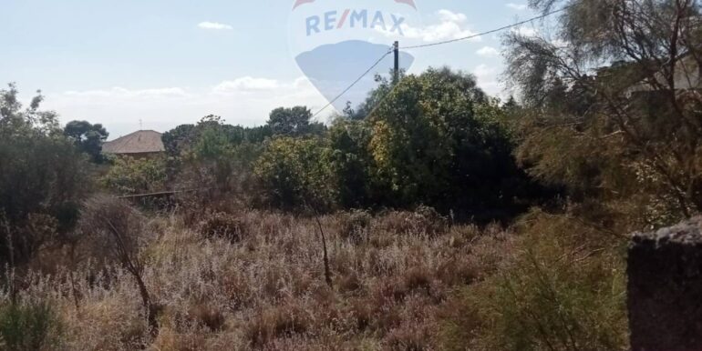 20251103121025-997228-5