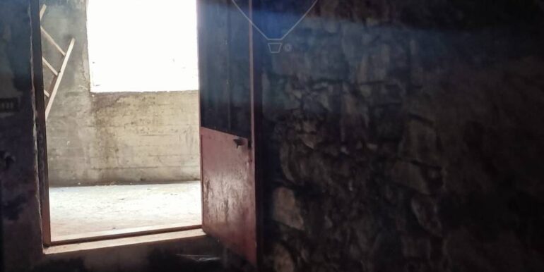 20251103193357-997537-1