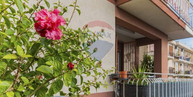 20251104111823-997658-3