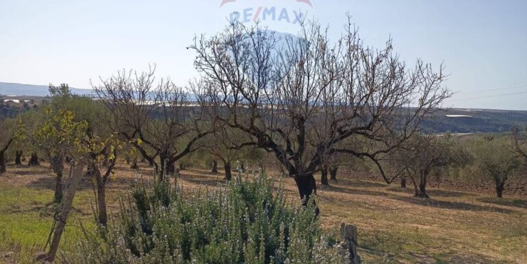 20251104170300-998291-1