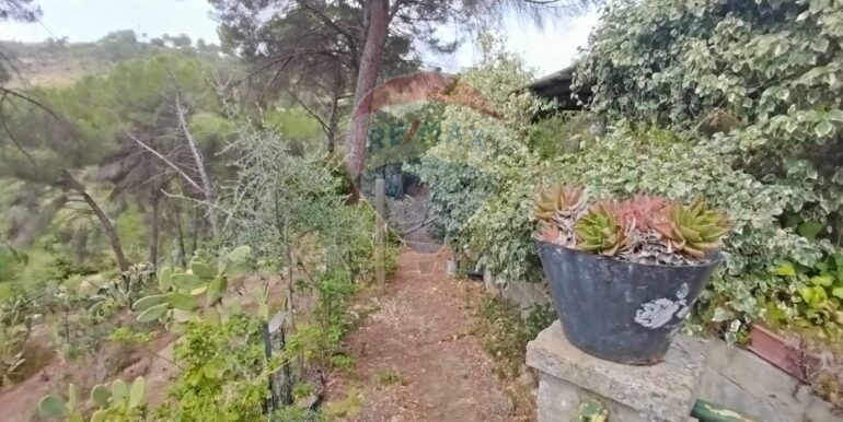 20251105114634-998881-3