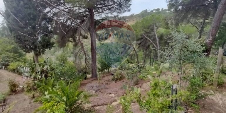 20251105114637-998881-4