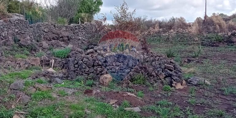 20251105121112-998345-1