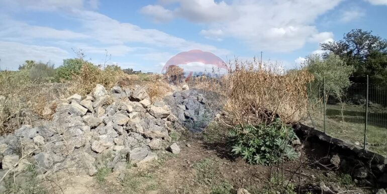 20251105121135-998345-8