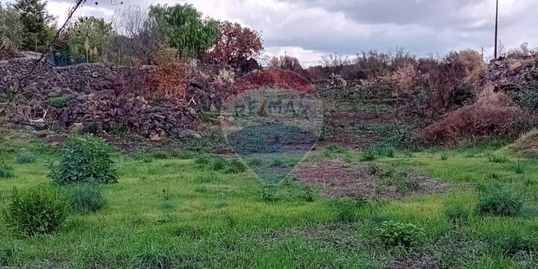 20251105121350-998345-11