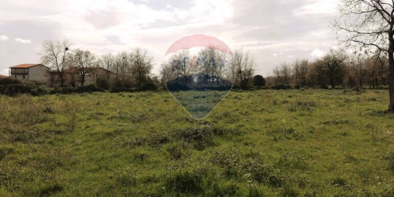 20251105162021-999004-5