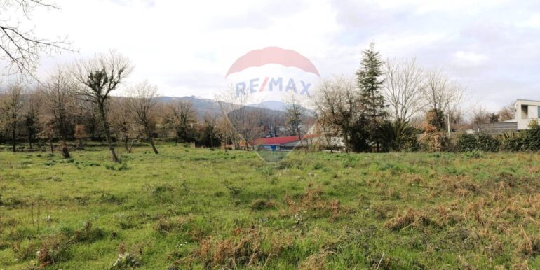 20251105162024-999004-6