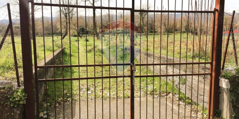 20251105162047-999004-13