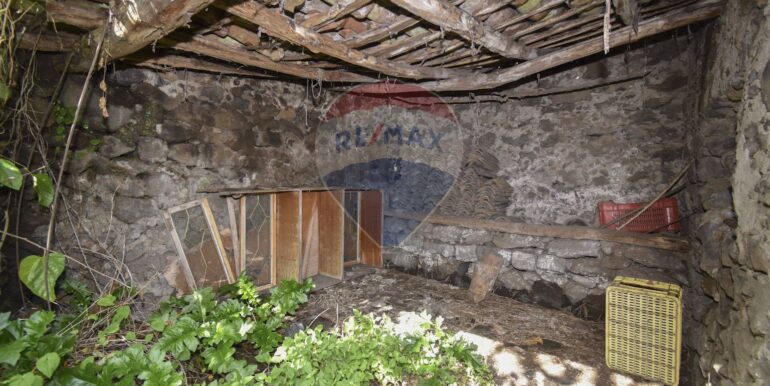 20251106113020-999160-9