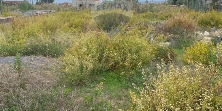 20251106152415-999216-1