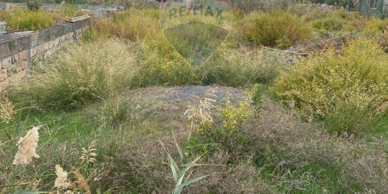 20251106152419-999216-2