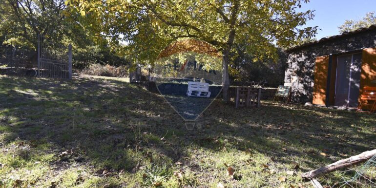 2025110701019-937570-23