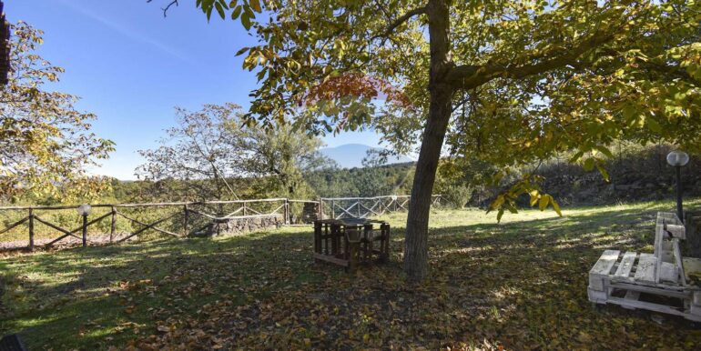 2025110701117-937570-43