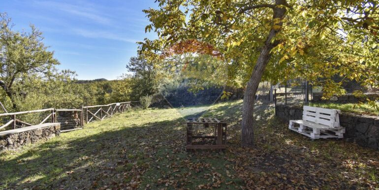 2025110701123-937570-45