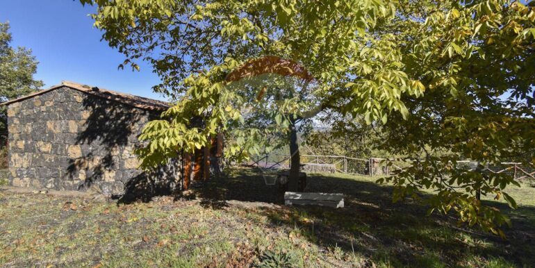 2025110701135-937570-49