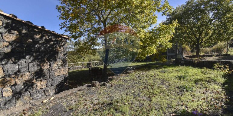 2025110701139-937570-50