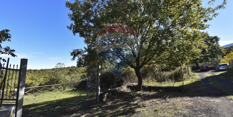 2025110701430-937570-86