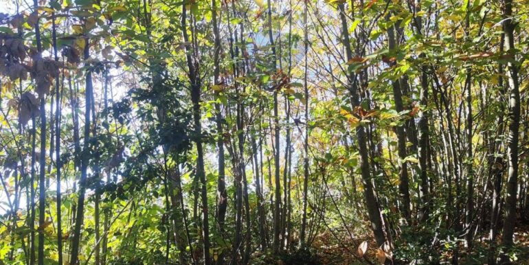 20251107160432-999427-1