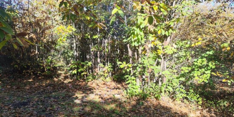 20251107160438-999427-2