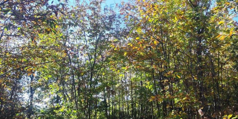 20251107160446-999427-4