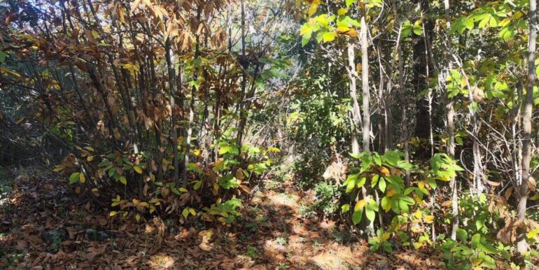 20251107160449-999427-5