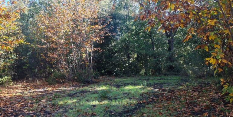 20251107160454-999427-6