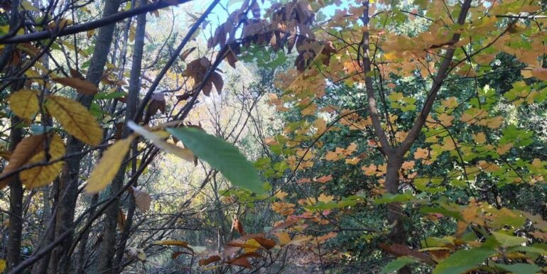 20251107160458-999427-7