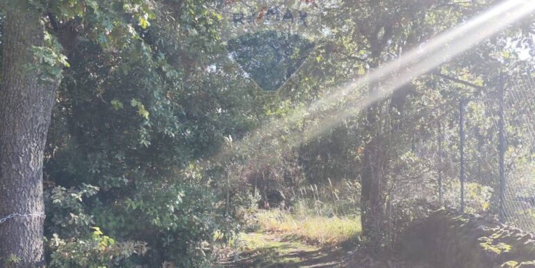 20251107160502-999427-8