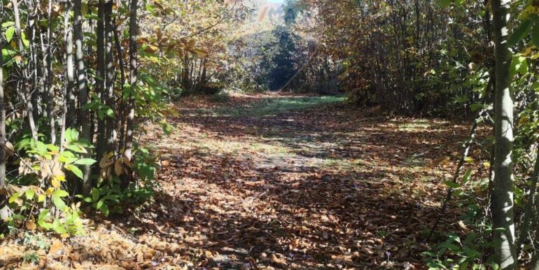 20251107160505-999427-9