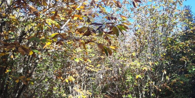 20251107160509-999427-10