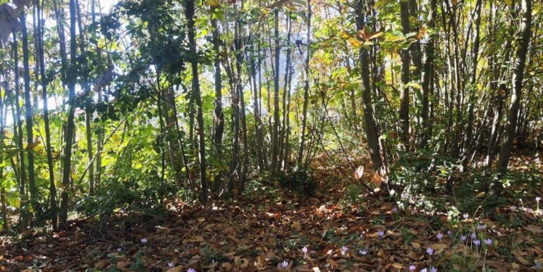 20251107160514-999427-11