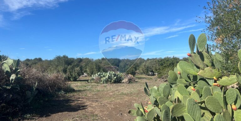 20251109175709-999763-1