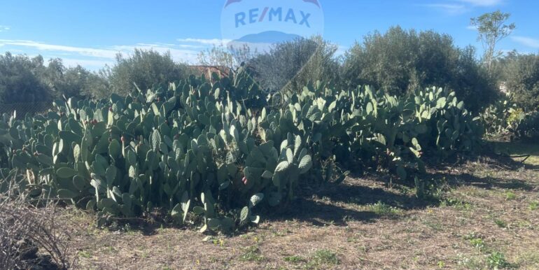 20251109175716-999763-3