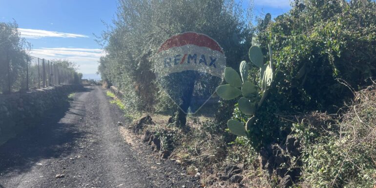 20251109175719-999763-4