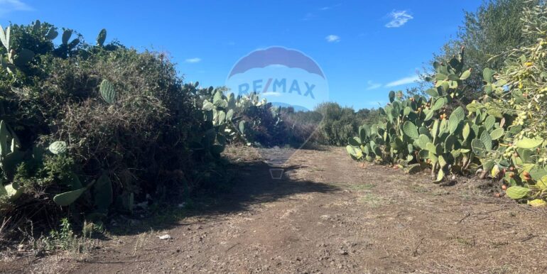 20251109175726-999763-7