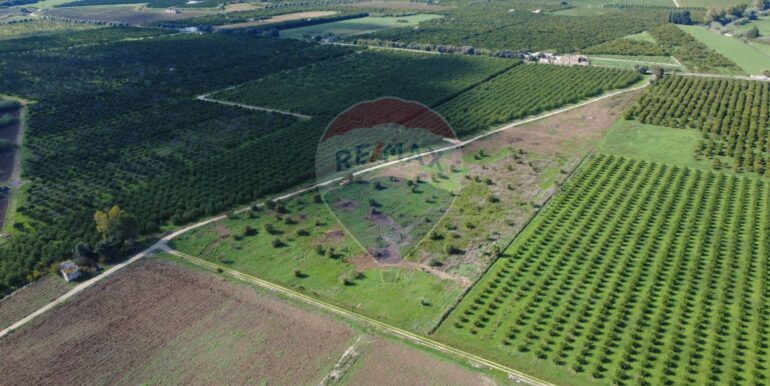 20251109191730-997430-5