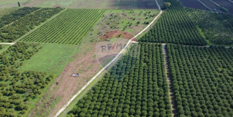 20251109191811-997430-10