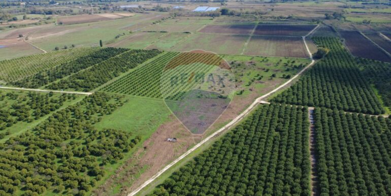 20251109191813-997430-11