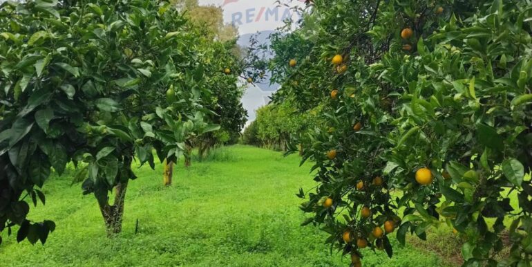 2025110985209-934781-10