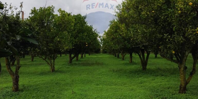 2025110985212-934781-11