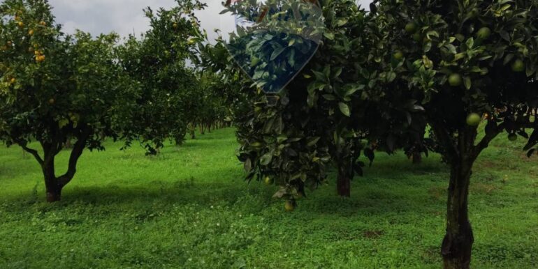 2025110985218-934781-13