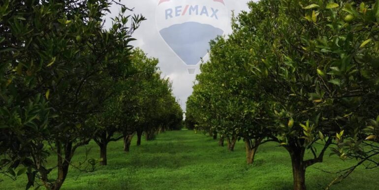 2025110985221-934781-14