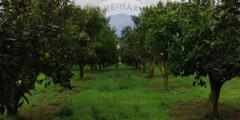 2025110985224-934781-15