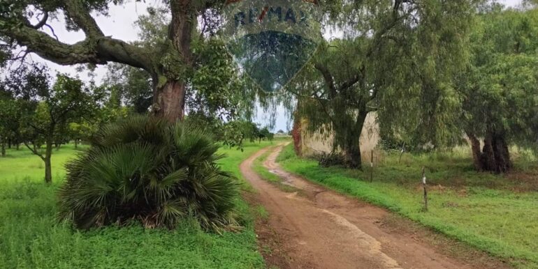 2025110985227-934781-16