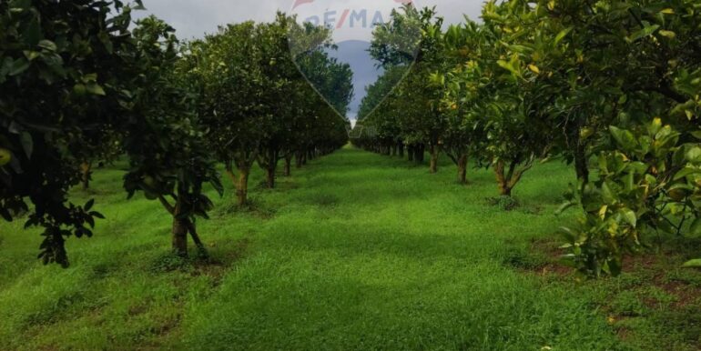 2025110985231-934781-17