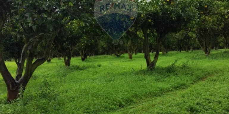 2025110985234-934781-18