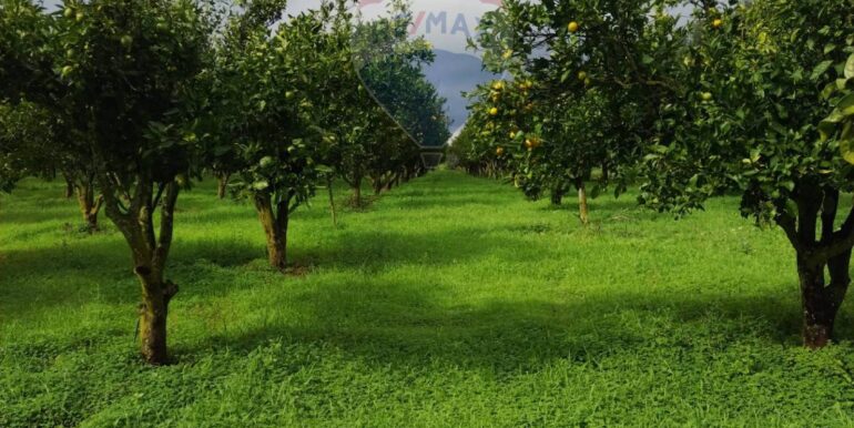 2025110985237-934781-19