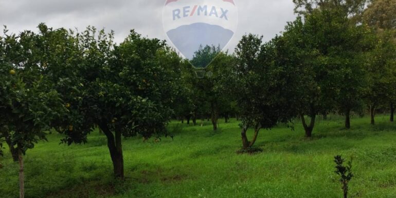 2025110985253-934781-24